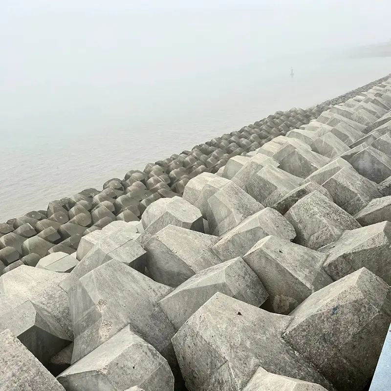 Accropod Formwork/Múnla